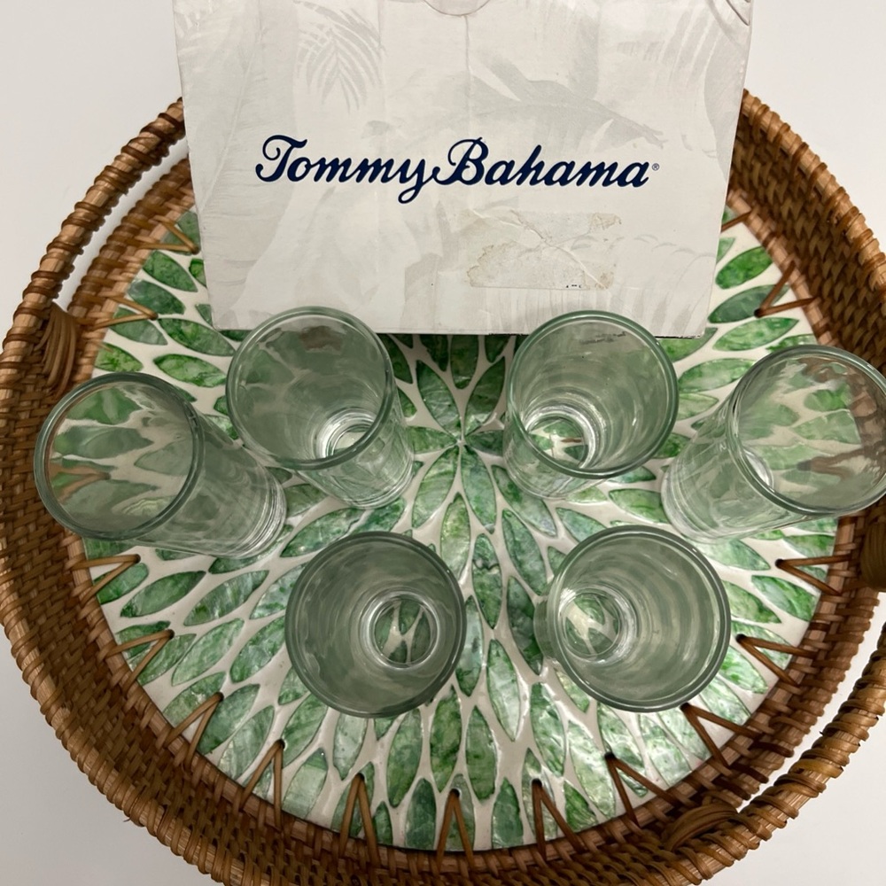 Tommy Bahama Transparent Shot Glass Collection - Picture 3 of 8